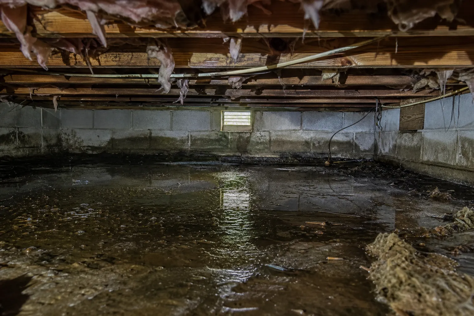 Flooded crawl space with standing water, damp block walls, exposed floor joists, wiring, and torn insulation.