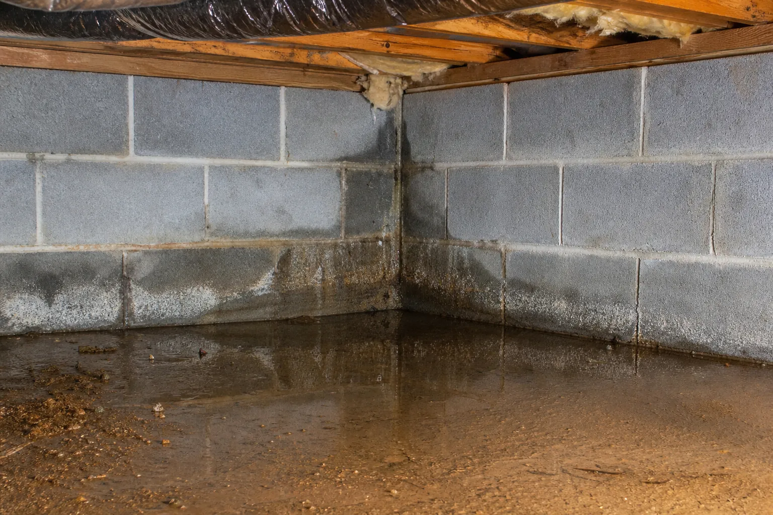Standing water pools at the corner of concrete block foundation walls beneath an insulated crawl space floor.