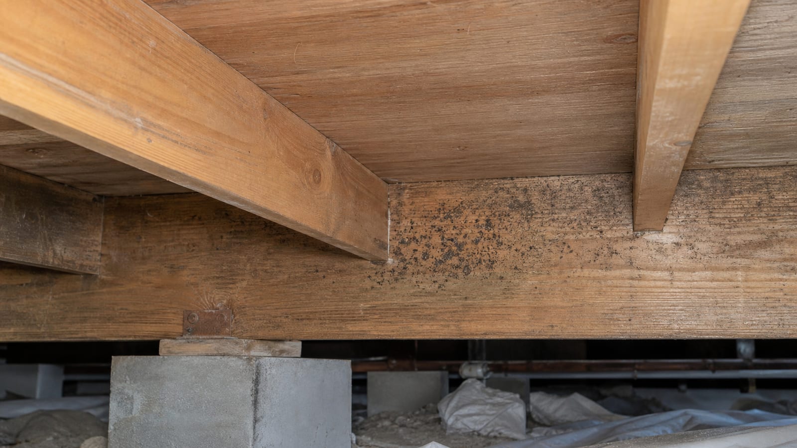 Crawl space wood framing being checked with a moisture meter and inspection light